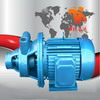 单级旋涡泵1W型上海厂家制造