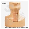 GD/J58高級環甲膜穿刺及氣管切開插管訓練模型
