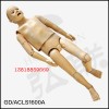 GD/ACLS1600A智能數字化兒童綜合急救技能訓練系統