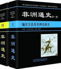 中版集团布局非洲新市场，抢占文化制高点