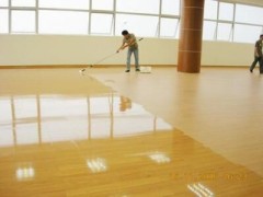 成都市高日常保潔服務(wù)蕭02862450089
