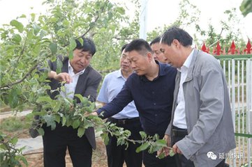 延川分公司夯实扶贫攻坚基础，助推精准扶贫落地