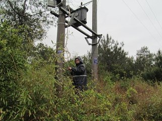 留坝分公司：做好雷雨天气线路巡视工作