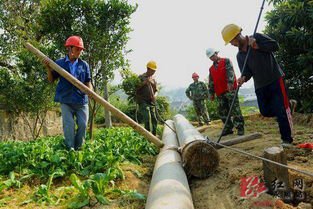 黄龙分公司多措并举应对持续降雨天气