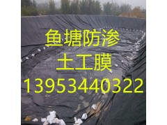 贵州六盘水鱼塘1.0mm防渗土工膜厂家
