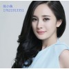 轉讓多家凈殼的上海投資管理公司