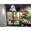 广东湛江1.8米静候花开鲜花保鲜柜，立式风冷鲜花展示柜