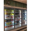 南昌立式冷冻柜，饺子元宵冷冻展示柜，速冻食品柜直销