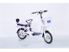 廠家直銷綠色環保鋰電動車