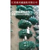 陜西ZLY250減速機(jī)主軸國茂規(guī)格及型號(hào)