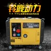 虹桥机场备用5KW静音柴油发电机
