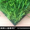 酒店用人造草坪，給你不一樣的新體驗！