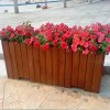 花盆花箱订购热线：13810831169