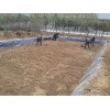 阜陽藕池魚塘防滲土工膜厚度價格施工圖片