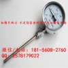 北京熱電偶溫度計購買