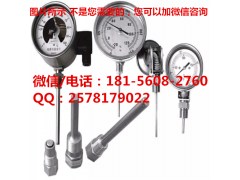 展销wss-511远传双金属温度计