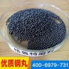 濟南格魯特供應 鋼1鑄鋼1拋1機合金鋼1