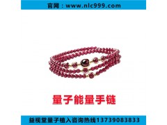 益視堂量子能量手鏈