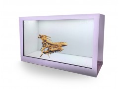 透明屏透明液晶屏透明液晶展柜透明橱窗透明展示柜