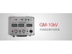 GM-10kV 可调高压数字兆欧表厂商