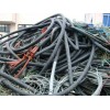 电缆回收多少一米多少一公斤,南山科技园电缆回收,价格高