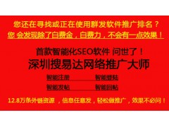 深圳搜易达外贸SEO优化软件 网络推广工具SEO发帖工具