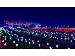 灯光节主题浪漫爱情主题策划