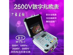 BY2671数字兆欧表（0～20000MΩ） 0~2500V