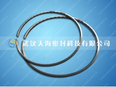 武汉天海科技汽车钢质油环工厂直销