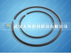 武汉天海科技石油化工钢制搭口密封环