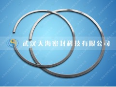 武汉天海科技重型内燃机金属密封环厂家直销