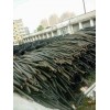 潍坊电缆回收，潍坊电缆回收公司