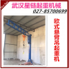武漢長(zhǎng)期供應(yīng)歐式輕載型起重機(jī)電動(dòng)鋼軌懸掛吊