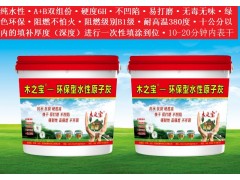 木之宝-无塌陷水性原子灰+无塌陷水性原子灰