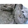 石家庄金属回收：废锡回收锡渣锡块锡灰石家庄地区（上门回收）