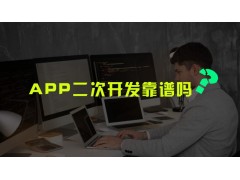 山东app软件二次开发失败的原因及解决方法