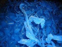 茶山塑胶废品回收 虎门塑胶回收公司 长安专业回收废塑胶