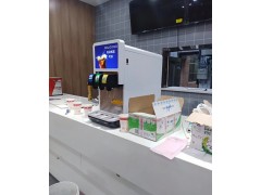 鹤壁汉堡店可乐机百事可乐饮料机可乐机厂家