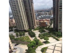 深圳村委统建楼可以落户了吗(沙井德馨花园)售楼处直售