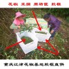 重庆花椒筐厂家直销鲜花椒塑料筐花椒筐大号可装40斤重庆厂家