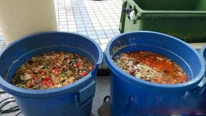 连云港市餐厨废弃物管理办法 实现餐厨废弃物减量化、无害化、资源化 