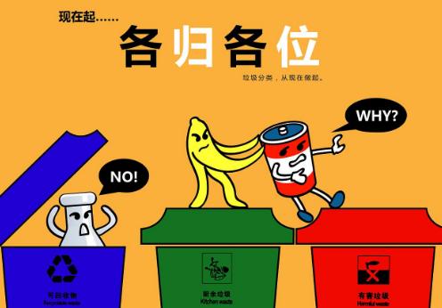 上海垃圾分类进入“硬约束时代”，个人扔错垃圾最高罚款200元