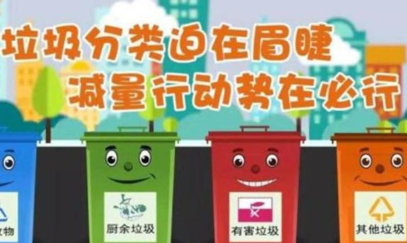 青岛发布城市生活垃圾分类投放指南