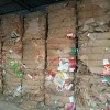 广州废纸回收