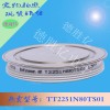 德国英飞凌IGBT 功率模块 TT2251N80TS01直售