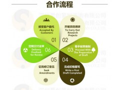 深圳环保项目可行性研究报告代写