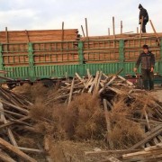 北京上門回收二手木材回收 二手方木回收 二手建筑木方