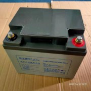 廣州理士蓄電池代理商 模塊工頻UPS修理 湯淺山特電池價