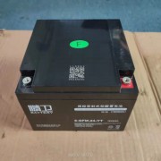 廣州精衛蓄電池代理商 機房UPS報價 UPS電源維修