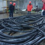南京六合电镀厂电线电缆回收拆除